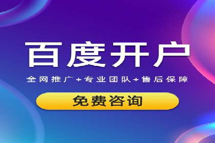 百度SEO推广公司经典之作：打造行业领先品牌